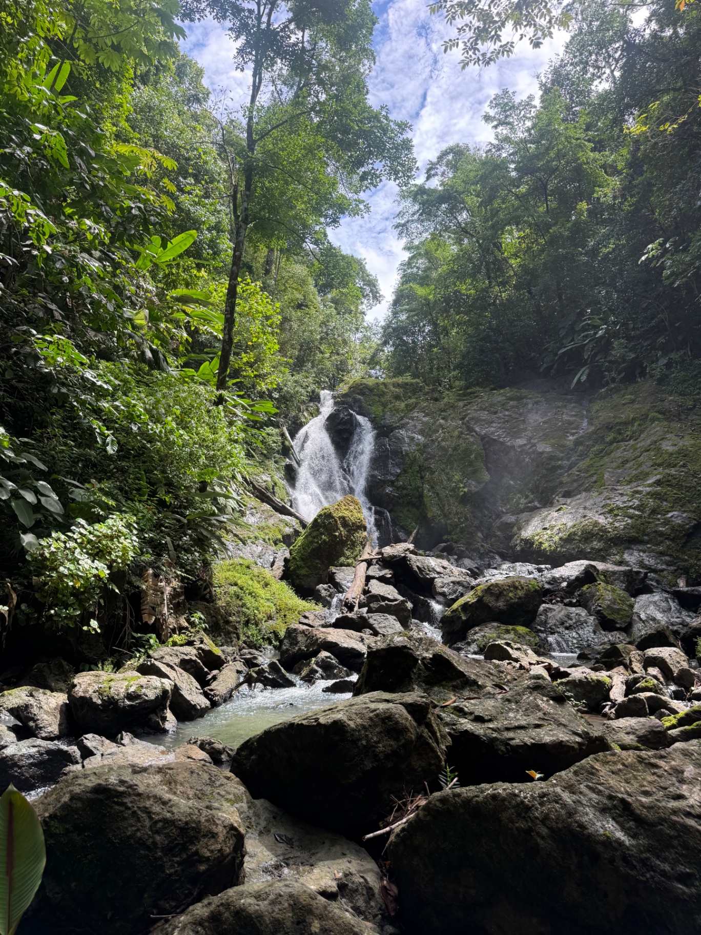 Corcovado National Park 6