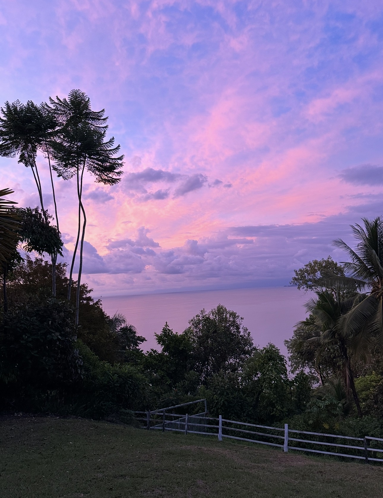 Pink and golden sunset over the Pacific from the High View House garden