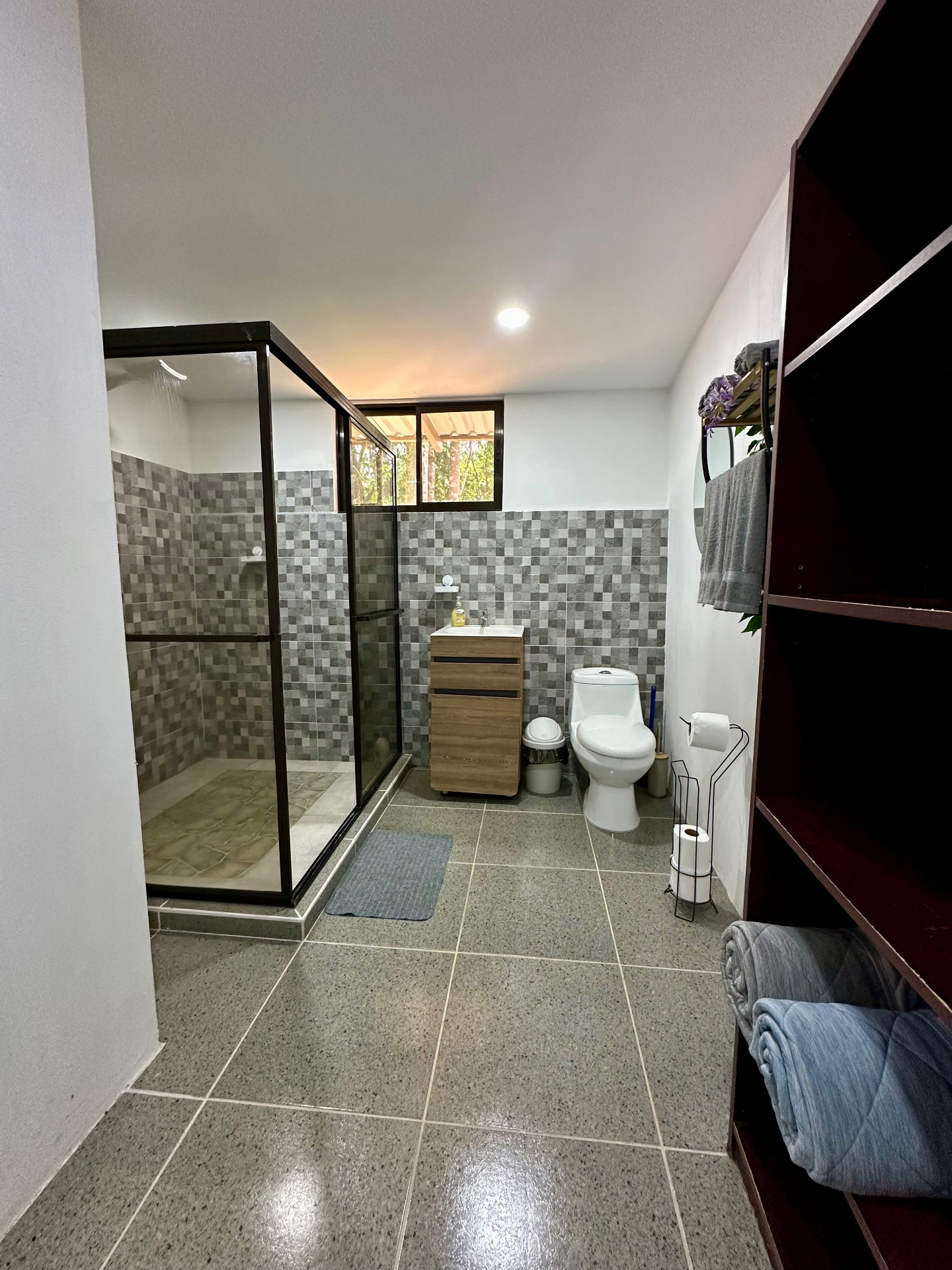 Bathroom with glass shower and jungle view