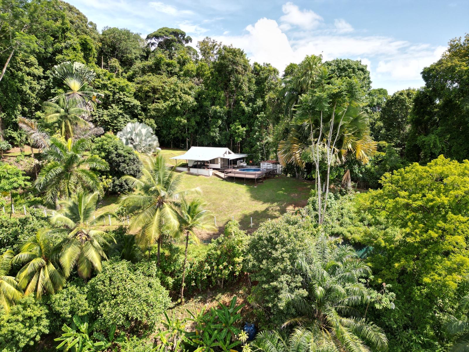 Vista aérea de la casa rodeada de selva tropical